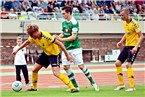 Der Hofer Eduard Root schirmt den Ball gegen Schweinfurts Marco Haller ab, rechts Tomas Sturm