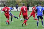 FSV Stadeln - Cagri Spor Nürnberg (28.10.2017)