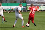 TSV Buch - Baiersdorfer SV (26.08.2018)