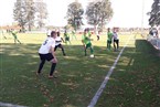 SF Großgründlach - TSV Johannis 83 (14.10.2018)