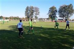 SF Großgründlach - TSV Johannis 83 (14.10.2018)