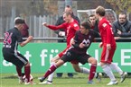 SC Großschwarzenlohe - TSV Buch (10.11.2018)