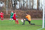 TV 1848 Erlangen - SpVgg Diepersdorf (01.12.2018)