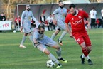 FSV Stadeln - Türkspor Nürnberg (30.03.2019)