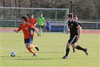 SG Quelle Fürth - TSV Sonnefeld (30.03.2019)