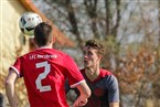 1.FC Kalchreuth - 1. FC Hersbruck (31.03.2019)