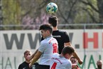 ASV Zirndorf - SV Sportfreunde Dinkelsbühl (06.04.2019)