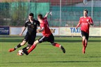 BSC Woffenbach - TSV Burgfarrnbach (18.04.2019)