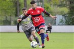 SpVgg Erlangen - 1. FC Kalchreuth (12.05.2019)
