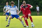 SV Nürnberg Laufamholz - KSD Hajduk Nürnberg 2 (26.05.2019)