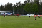 SV Etzenricht - FSV Stadeln (01.06.2019)