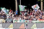 Die Fans des FC Schweinfurt 05 feierten.