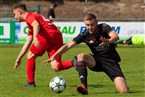 TSV Buch - Baiersdorfer SV (04.08.2019)