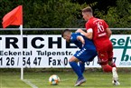 1. FC Kalchreuth - SV Gutenstetten/Steinachgrund (04.08.2019)
