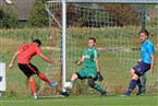 SV Burggragenhof - Vatan Spor Nürnberg (18.08.2019)