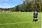 ESV Flügelrad Nürnberg 2 - Türk FK Gostenhof Nürnberg (29.09.2019)