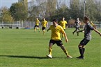 SC Obermichelbach - TSV Burgfarrnbach 2 (20.10.2019)