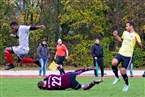 Türkspor/Cagrispor Nürnberg - SC Adelsdorf (03.11.2019)