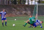 ASN Pfeil Phönix - VfL Nürnberg (03.11.2019)