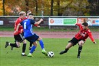 SG Quelle Fürth - FSV Stadeln (09.11.2019)