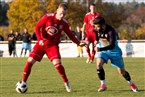 1. FC Kalchreuth - Türkspor/Cagrispor Nürnberg (10.11.2019)