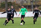 TSV Johannis 83 Nürnberg - DJK Eibach 2 (17.11.2019)