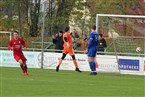 TSV Buch II - SGV Nürnberg-Fürth 1883 (17.11.2019)