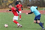 Vatan Spor Nürnberg - SV Burggrafenhof (17.11.2019)