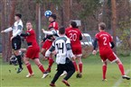 FSV Stadeln 3 - Türkischer SV Fürth (24.11.2019)