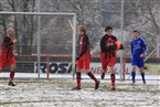 ASV Zirndorf - FSV Stadeln (BOL Mittelfranken, Saison 2010/11, 27.11.2010)