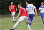 Relegation zur Kreisliga: SV Hagenbüchach - ASN Pfeil-Phönix (17.06.2015)