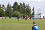 TSV Wilhermsdorf - SpVgg Baudenbach (15.08.2021)