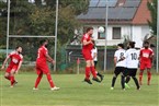 (SG) Eintracht Falkenheim 2 - VfL Nürnberg 3 (19.09.2021)