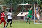 (SG) Eintracht Falkenheim 2 - VfL Nürnberg 3 (19.09.2021)