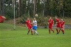 FSV Stadeln 2 - TSV Langenzenn (03.10.2021)