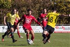 1. FC Kalchreuth - SC Adelsdorf (24.10.2021)