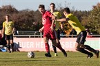 1. FC Kalchreuth - SC Adelsdorf (24.10.2021)