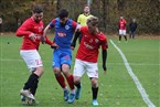 Vatan Spor Nürnberg - Turnerschaft Fürth (07.11.2021)