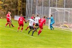 SG Puschendorf/Tuchenbach - FSV Stadeln ll (07.11.2021)