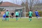 SV Neuhof/Zenn - TSV Langenzenn (07.11.2021)