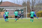 SV Neuhof/Zenn - TSV Langenzenn (07.11.2021)