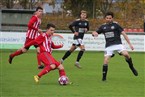 TSV Buch 2 - DJK Eibach (07.11.2021)