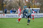 TSV Franken Neustadt/Aisch - TSV Wilhermsdorf (07.11.2021)