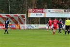 FSV Stadeln - Kickers Selb (13.11.2021)