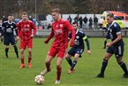 FSV Stadeln - Kickers Selb (13.11.2021)