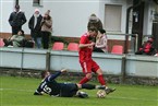 FSV Stadeln - Kickers Selb (13.11.2021)