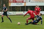 FSV Stadeln - Kickers Selb (13.11.2021)