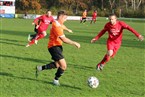 DJK BFC Nürnberg - TSV Altenfurt (14.11.2021)