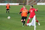 DJK BFC Nürnberg - TSV Altenfurt (14.11.2021)