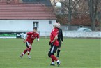TSV Johannis 83 - SV Laufamholz (14.11.2021)